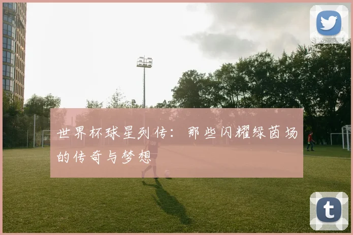 世界杯球星列传：那些闪耀绿茵场的传奇与梦想