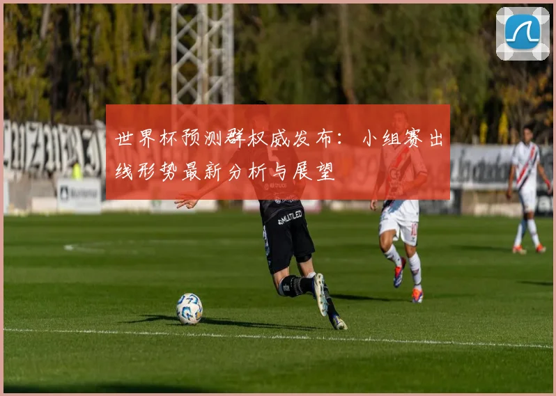 世界杯预测群权威发布：小组赛出线形势最新分析与展望